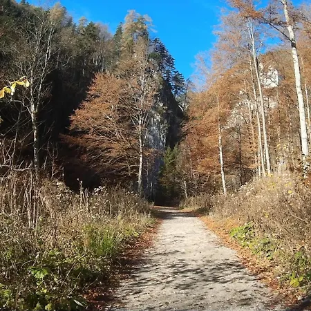 Haus Schmidbauer شقة *
